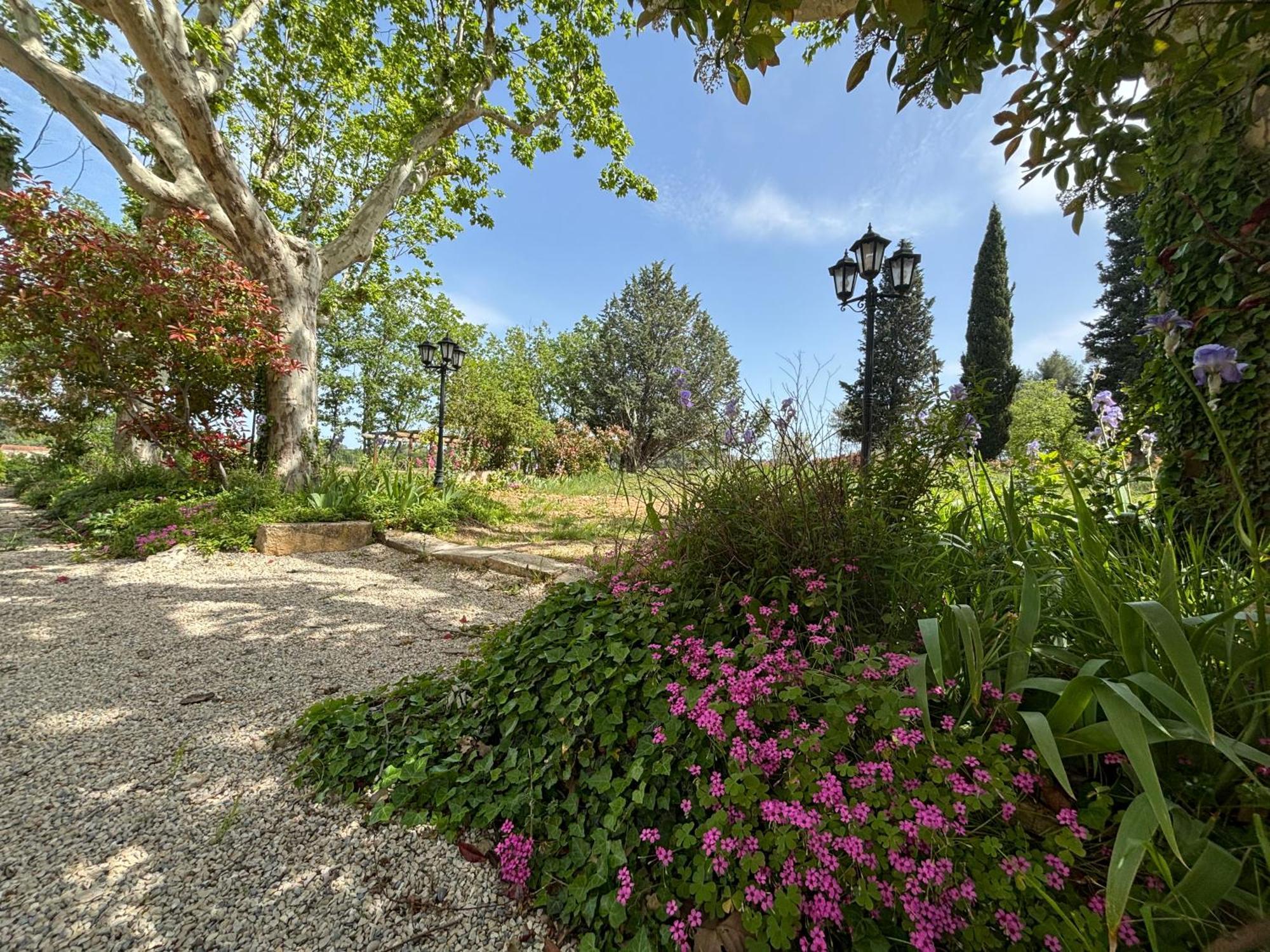 Havre De Paix Au Sein D'Un T3 D'Une Bastide Aixoise Aix-en-Provence Exterior photo