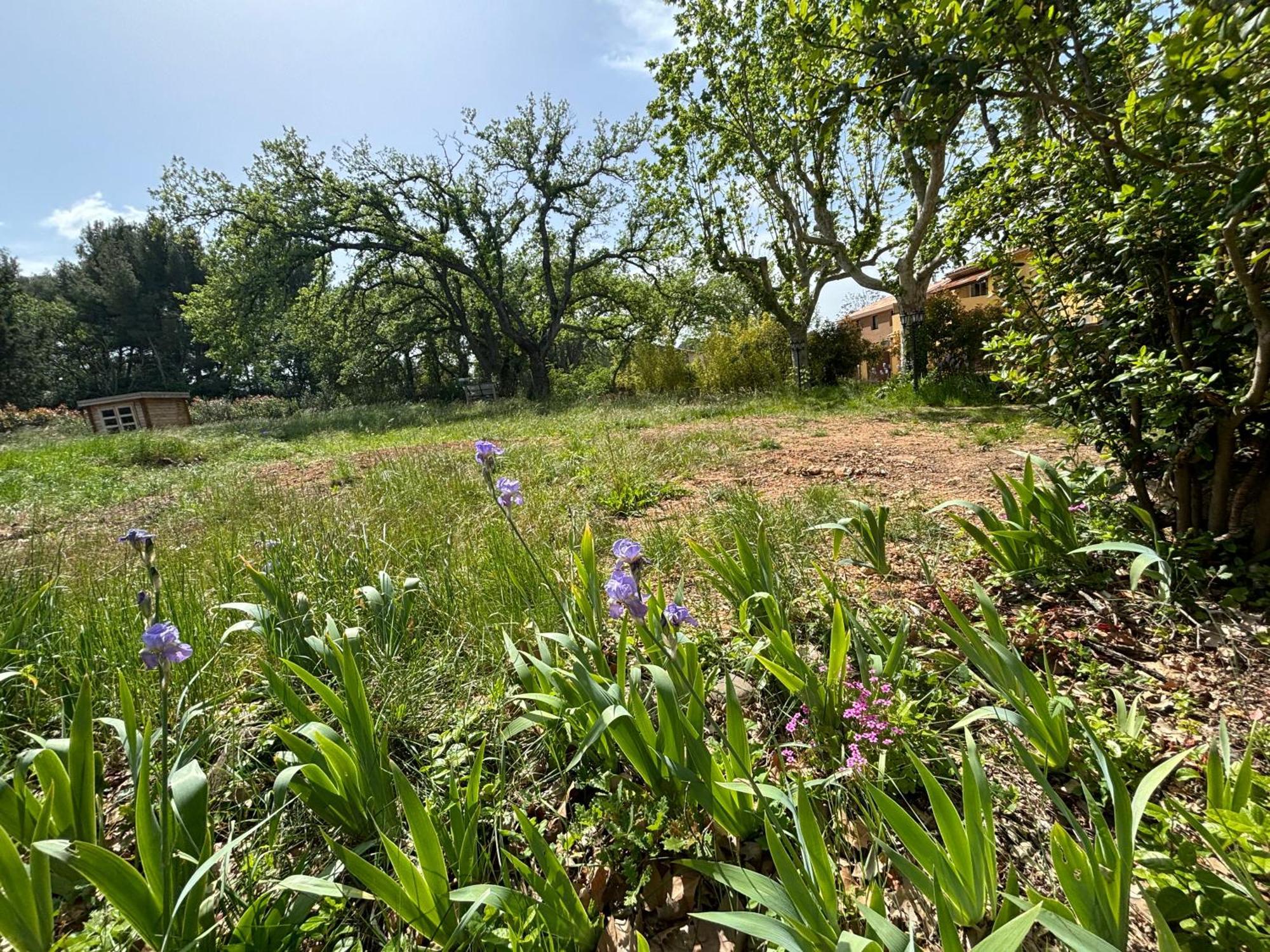 Havre De Paix Au Sein D'Un T3 D'Une Bastide Aixoise Aix-en-Provence Exterior photo